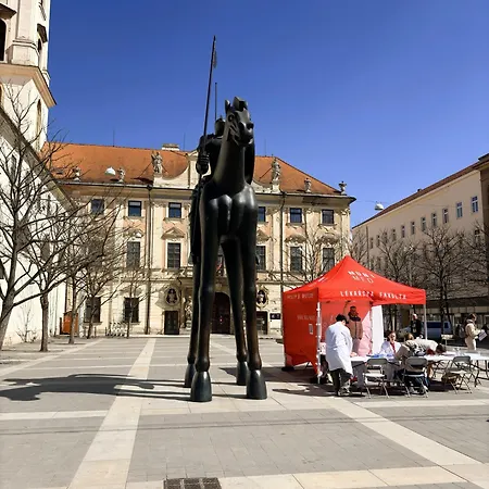 Auberge de jeunesse Black Style Moravske Namesti